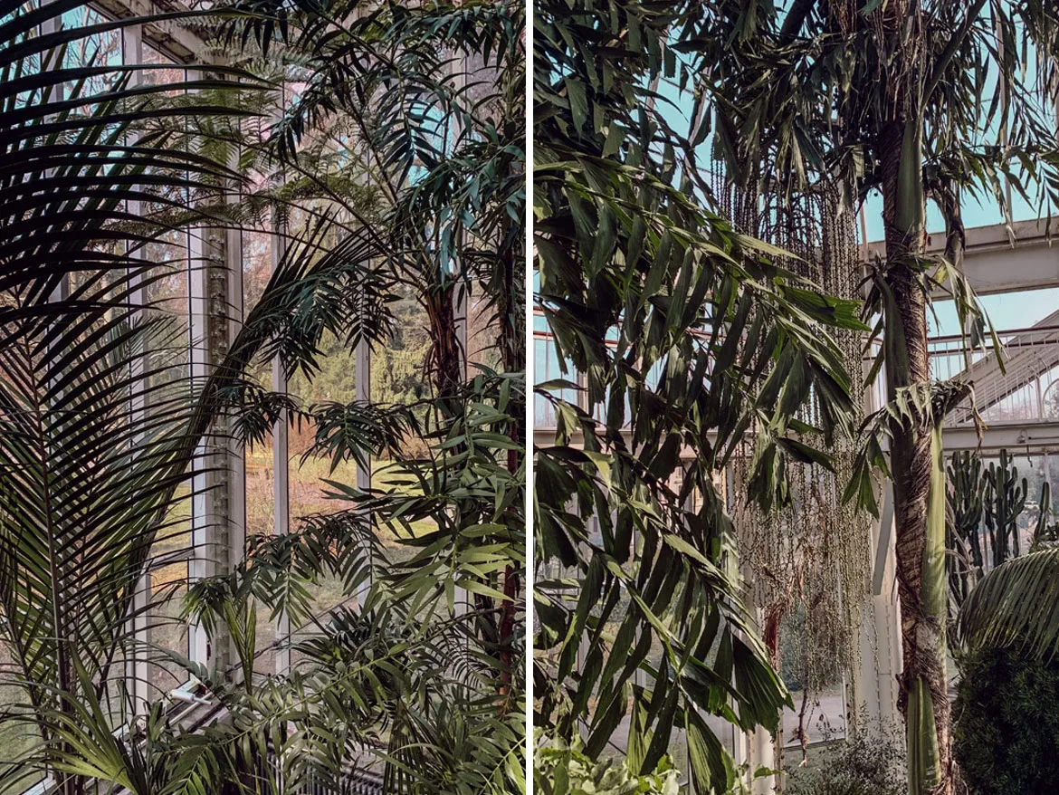 jardin botanique de Genève