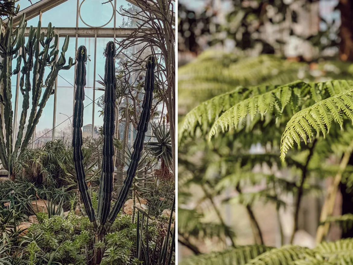 jardin botanique de Genève