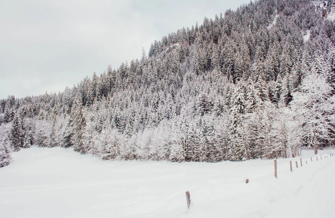 diablerets