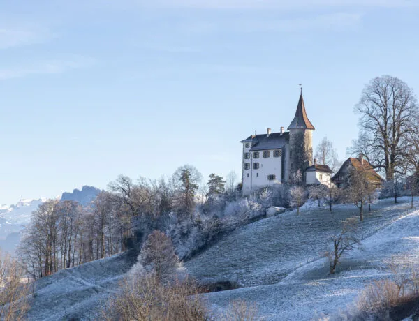 le pilatus