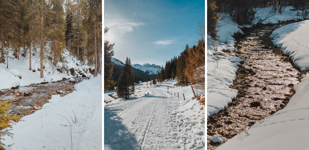 sentier des ponts morgins